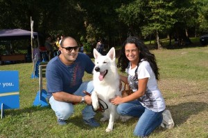 v-esposizione-nazionale-canina-a-crotone-tra-i-premiati-un-cane-cirotano3